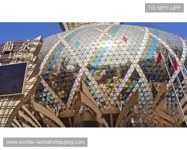 澳门新葡京手机版APP支持多种支付方式，保障玩家资金安全与快速存取体验